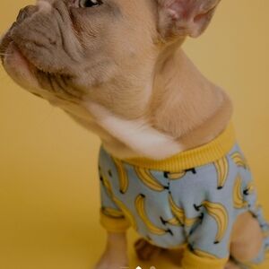 Cute Banana Print Dog Sweater